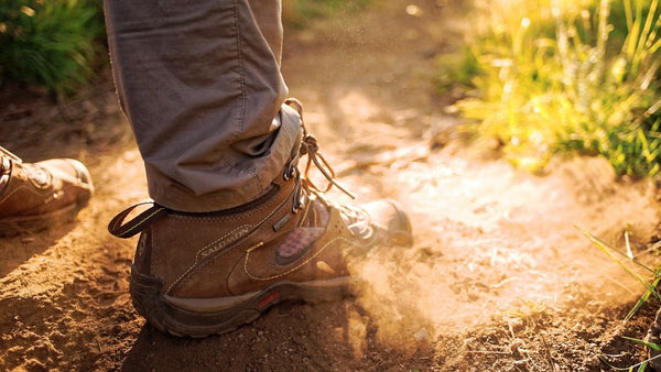Hikers and walkers